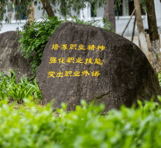校友会2024年青海省大学一流专业排名