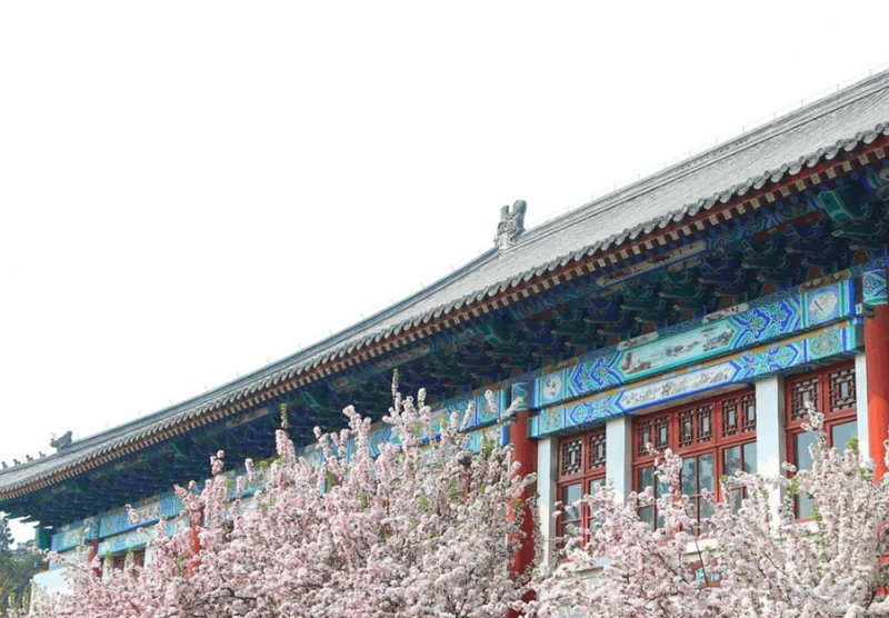 校友会2024年重庆市大学一流专业排名
