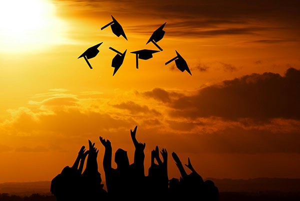 2024年保险学专业要学哪些课程
