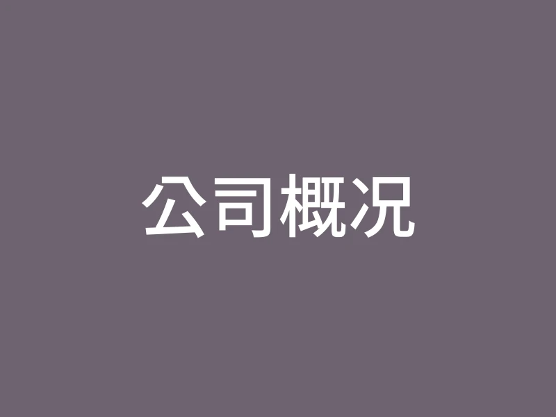 公司概况