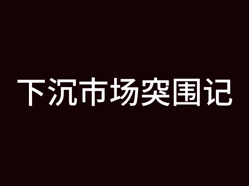 下沉市场突围记