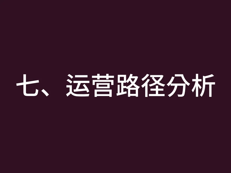 七、运营路径分析