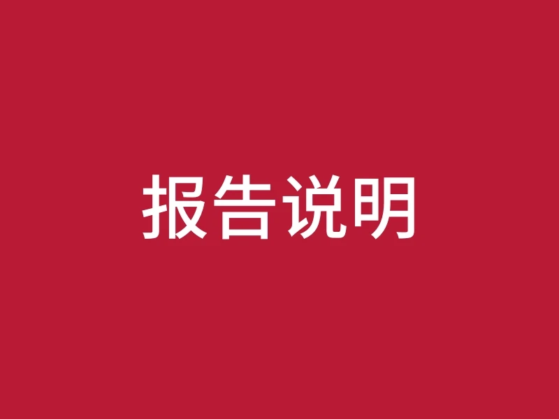 报告说明