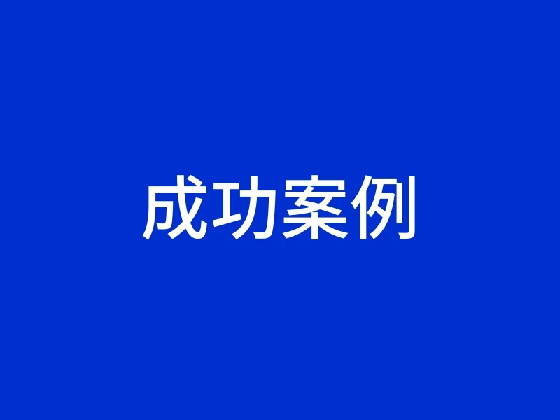 成功案例