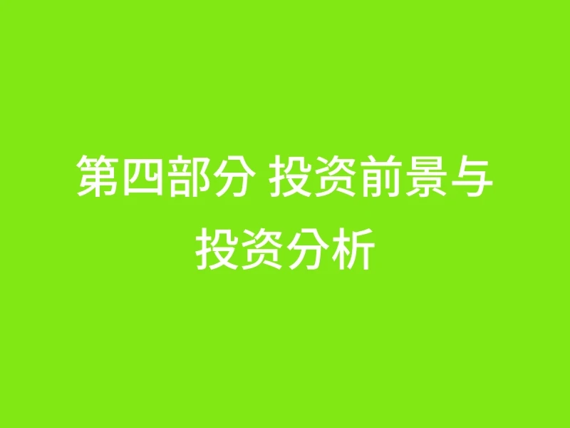 第四部分 投资前景与投资分析