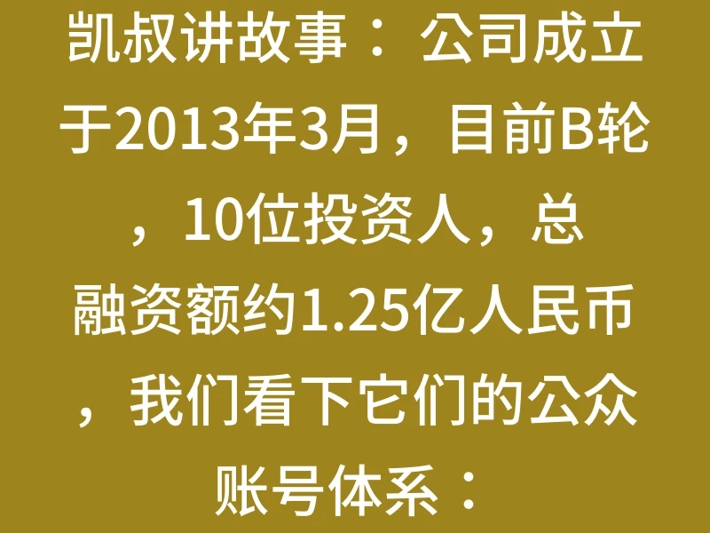 凯叔讲故事： 公司成立于2013年3月，目前B轮，10位投资人，总融资额约1.25亿人民币，我们看下它们的公众账号体系：