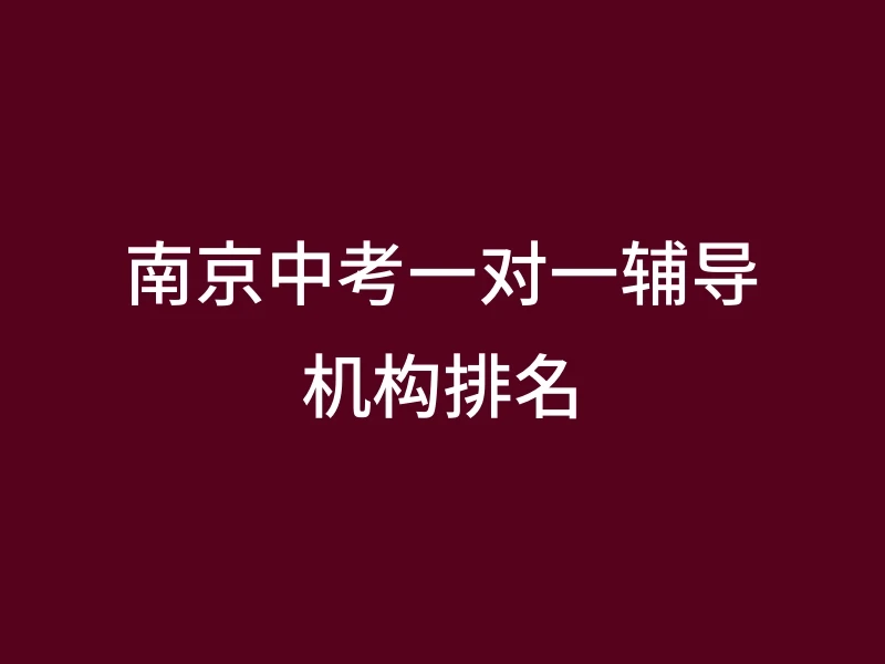南京中考一对一辅导机构排名