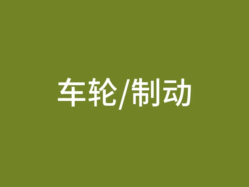 车轮/制动