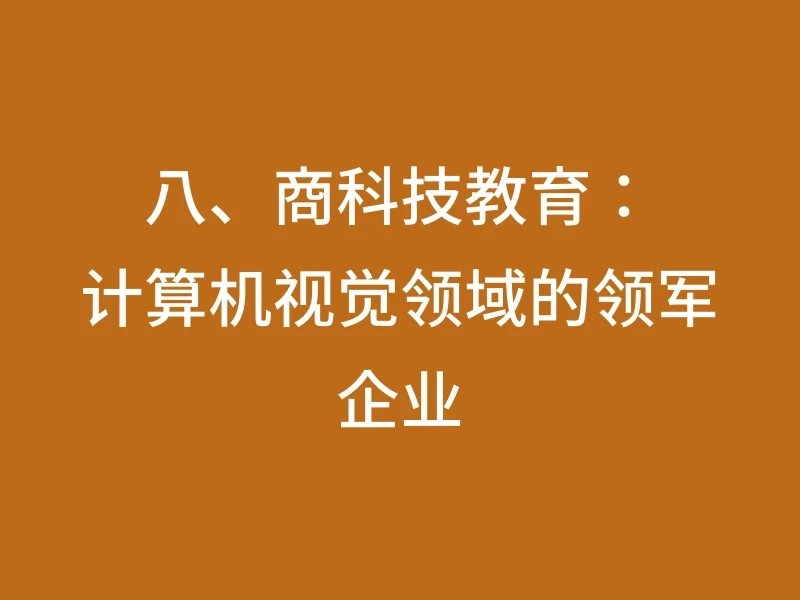 八、商科技教育：计算机视觉领域的领军企业
