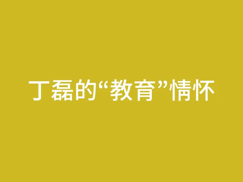 丁磊的“教育”情怀