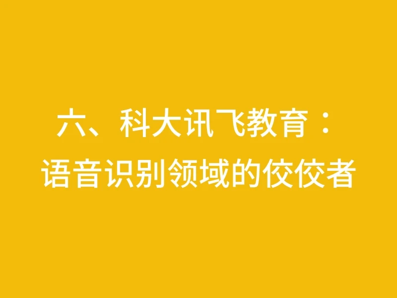六、科大讯飞教育：语音识别领域的佼佼者