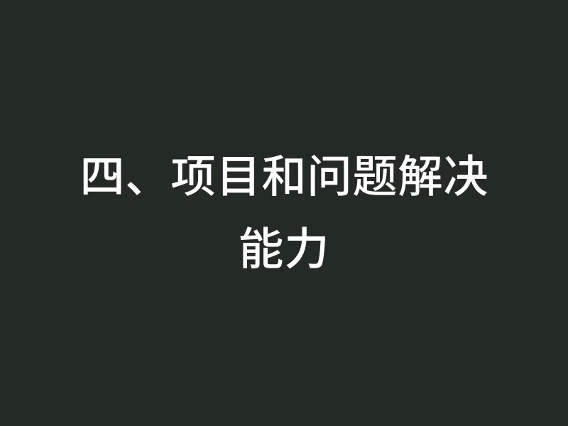 四、项目和问题解决能力