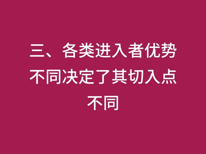 三、各类进入者优势不同决定了其切入点不同
