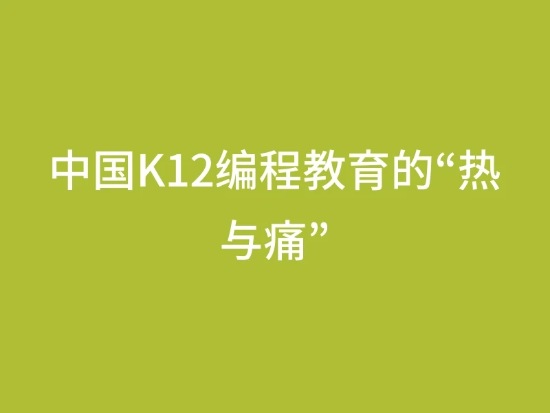 中国K12编程教育的“热与痛”